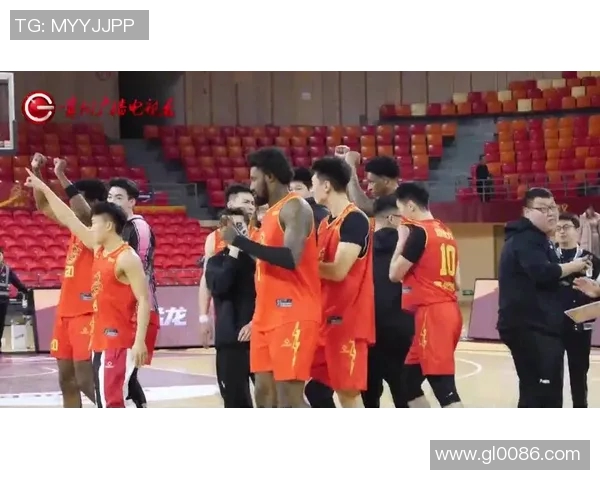 猛龙队与黄蜂激战正酣球迷期待精彩对决与惊喜表现